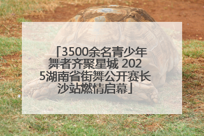 3500余名青少年舞者齐聚星城 2025湖南省街舞公开赛长沙站燃情启幕