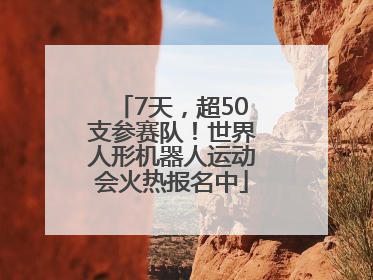 7天，超50支参赛队！世界人形机器人运动会火热报名中