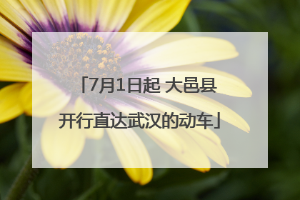 7月1日起 大邑县开行直达武汉的动车
