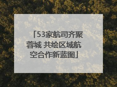 53家航司齐聚蓉城 共绘区域航空合作新蓝图