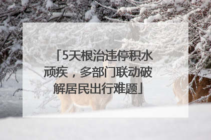 5天根治违停积水顽疾，多部门联动破解居民出行难题