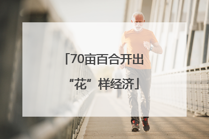 70亩百合开出“花”样经济