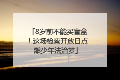 8岁前不能买盲盒！这场检察开放日点燃少年法治梦