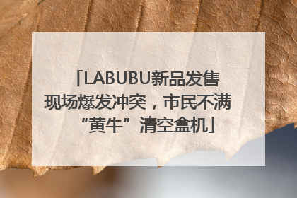LABUBU新品发售现场爆发冲突，市民不满“黄牛”清空盒机