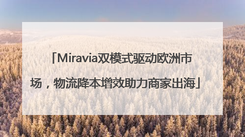 Miravia双模式驱动欧洲市场，物流降本增效助力商家出海