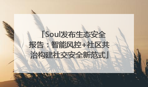 Soul发布生态安全报告：智能风控+社区共治构建社交安全新范式